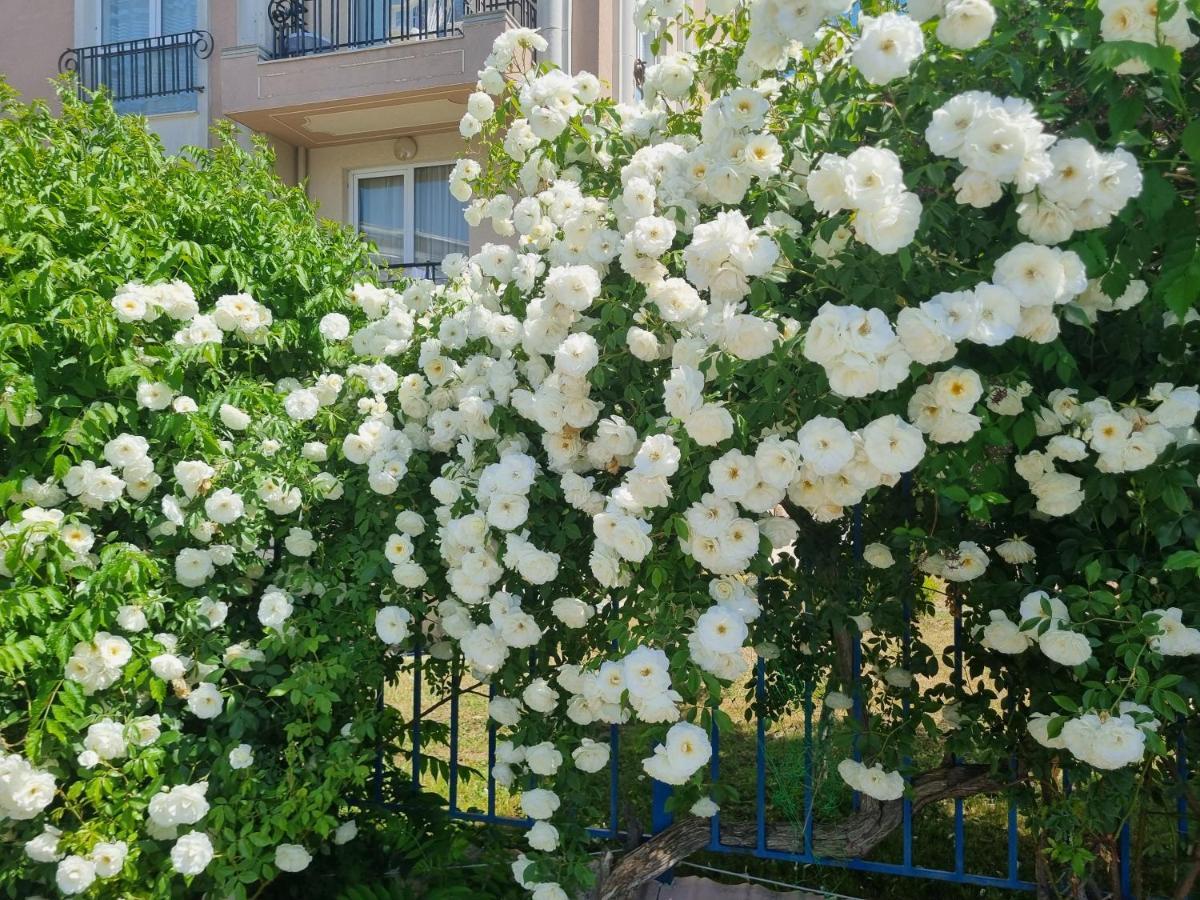 Studio Apartment With Balcony 300M From Beach サニービーチ エクステリア 写真